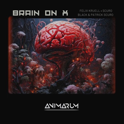 Brain on X - Single