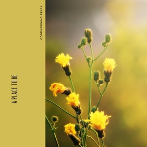 A Place to Be - EP
