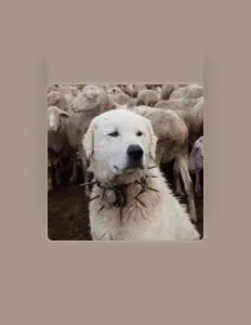 Escucha a Cody Murdock, mira videos musicales, lee su biografía, consulta las fechas de las gira y más.