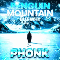 PENGUIN MOUNTAIN PHONK - Single - Raffy