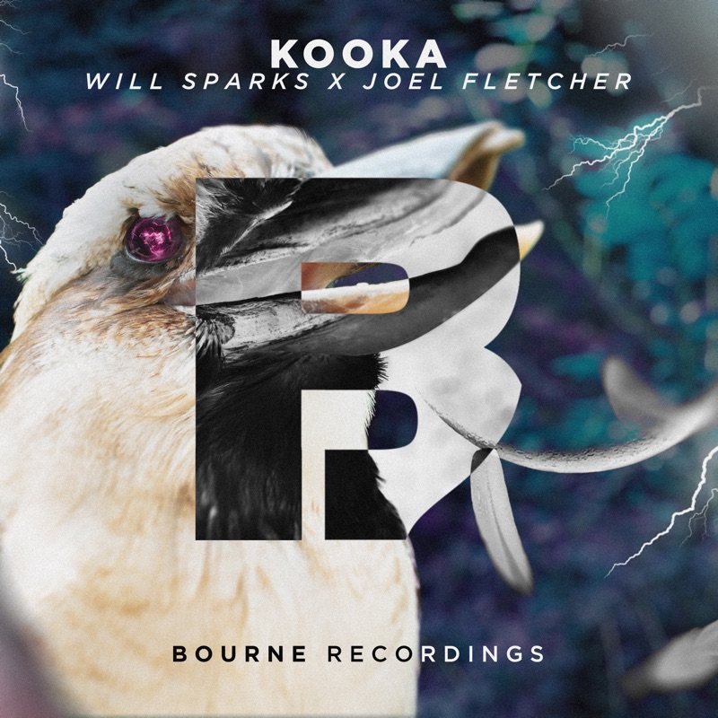 Kooka - Single
