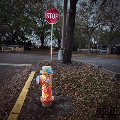 THE BREAKDOWN (feat. thecannab1st) - Single