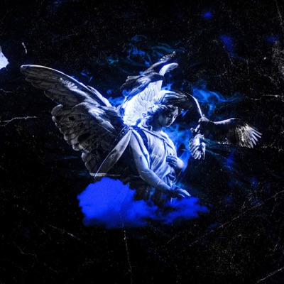 Lingo - Single
