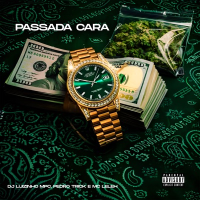 Passada Cara - Single