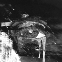 Серый Питер - Single - HOLLYFLAME & KEER