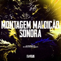 Montagem Maldição Sonora - Single - MC ZECA 015 & MC Lele 011