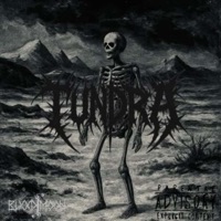 TUNDRA - Single - Noaah & BlxxdMoon