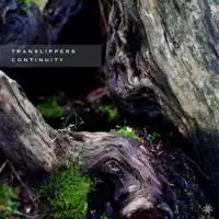 Lizards On A Stone — Translippers