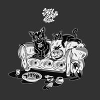 VKN - Single - Trakker