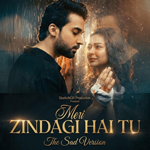 Meri zindagi hai tu