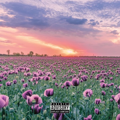 QUE RICO (feat. Jewliet Cantu) [Remix] - Single