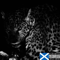 TRAPoween - Single - Taygo