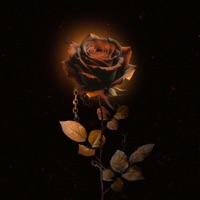 До утра (feat. Cactu$ & Arcana) - Single - AIHY