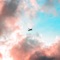Sunset Cruise (feat. Kaze Jones) - Kubota lyrics