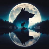 Reflection of the moon - Single - Tanguy Laburthe, Amy Wallace & Juliano