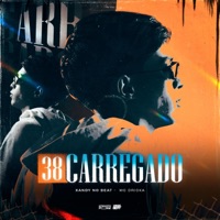38 CARREGADO - Single - Xandy Nobeat