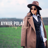 Vay Dayı song art