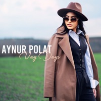 VAY DAYI