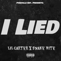 I LIED (feat. Snake Bite) - Single - Lil Carter