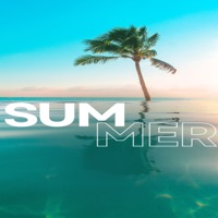 Summer (feat. Chino Produciendo & D J Electronica) - Single - Airo Music