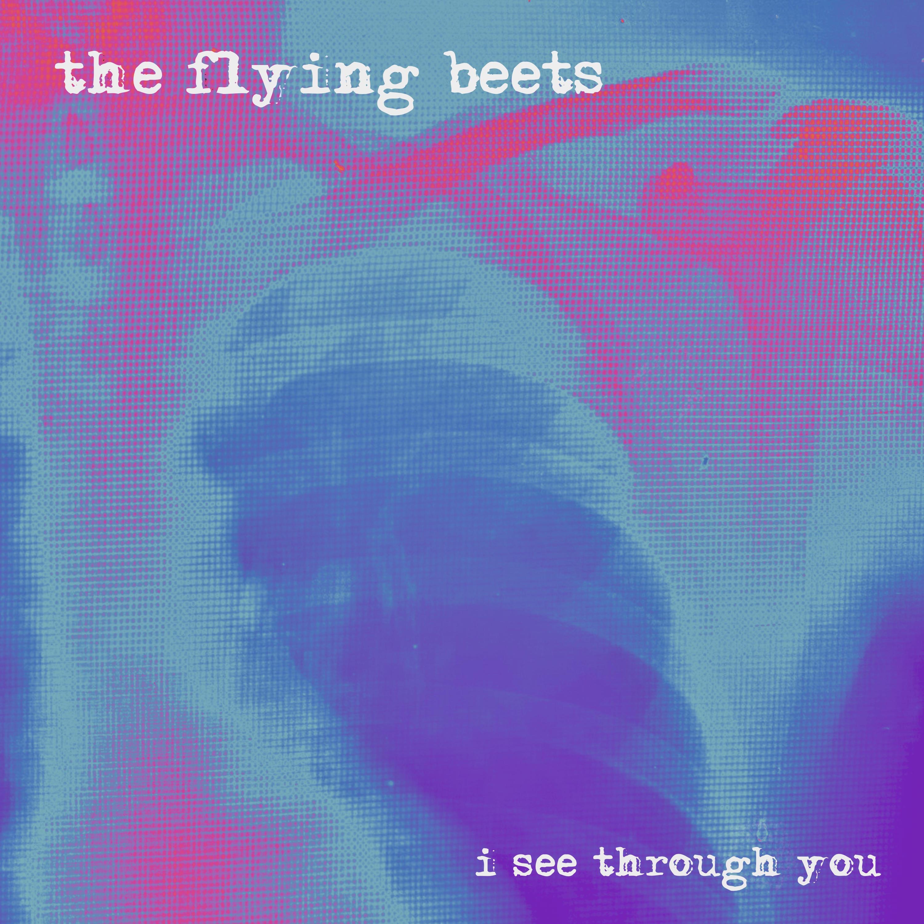 I See Through You - Single