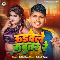 Udawale Kabuter Re - Single - Bablu Raja