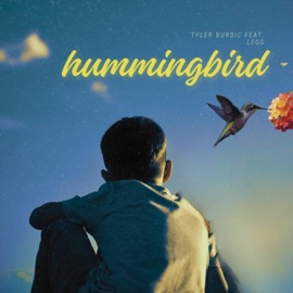 Hummingbird Tyler Burdic