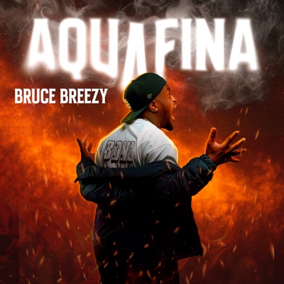 Aquafina - Single