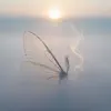 Шепот, Робкое Дыхание, Ver 3.0