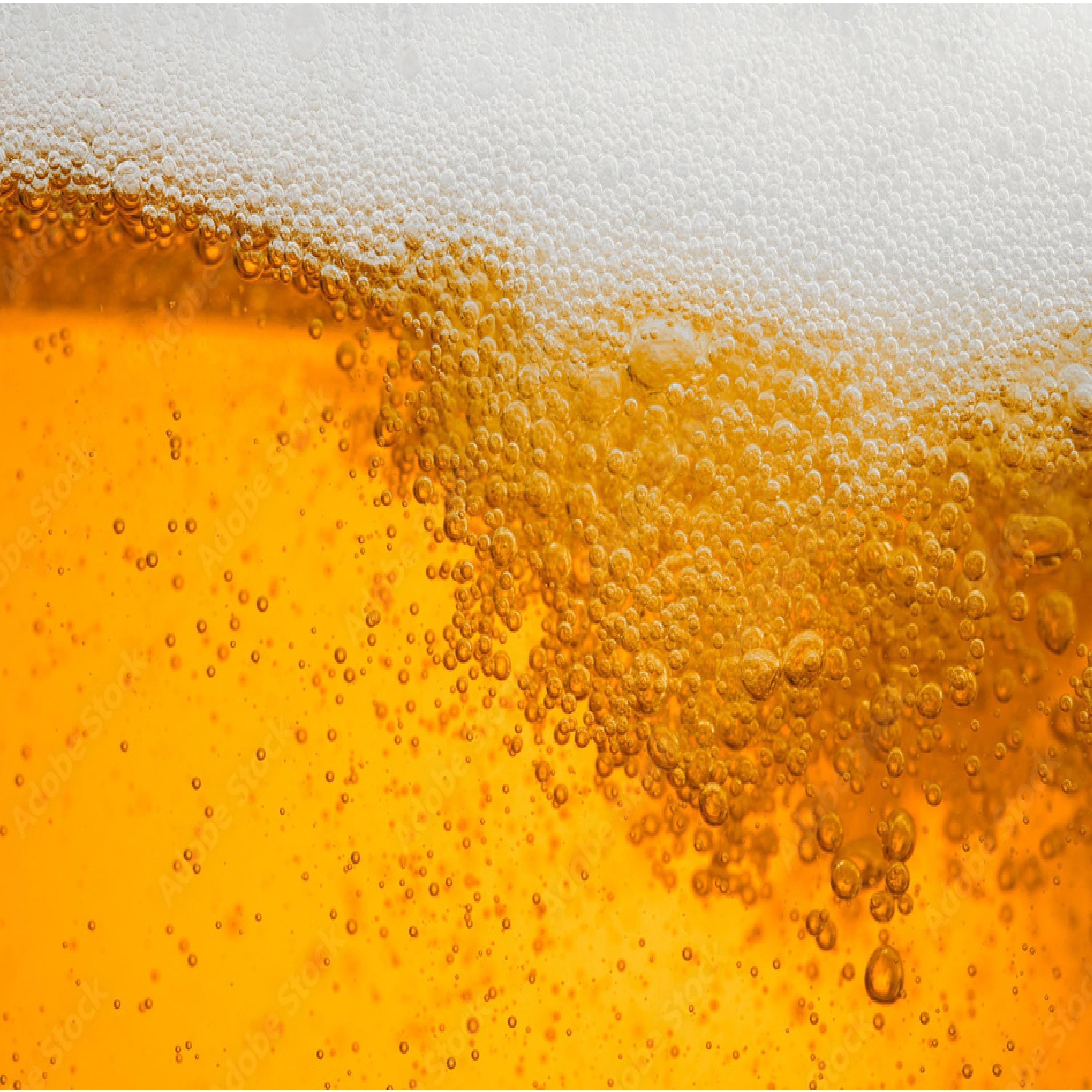 Just Another Beer Song - Single