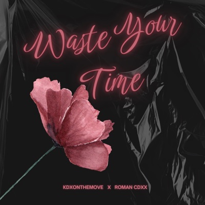 Waste Your Time - Single