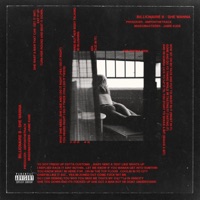 She Wanna - Single - Billionaire B