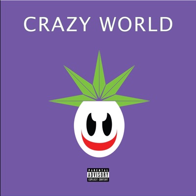 CRAZY WORLD
