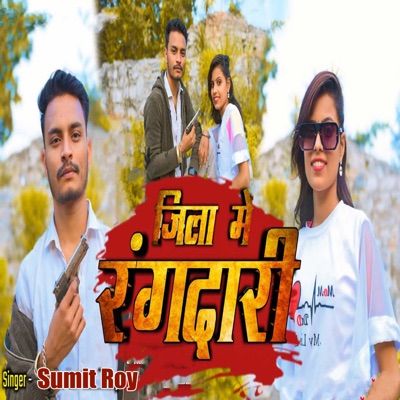 Hamar Jila Rangdaar - Single