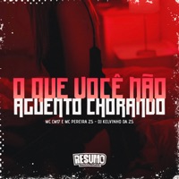 O Que Você Não Aguentou Chorando - Single - MC CM17, MC Pereira ZS & DJ KELVINHO DA ZS