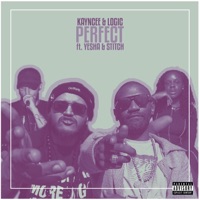 Perfect (feat. Yesha & Stitch) - Single - Kayncee & Logic