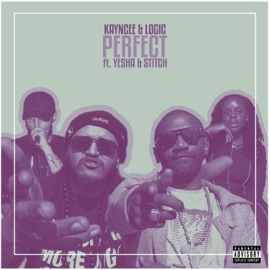 Perfect (feat. Yesha & Stitch) Kayncee & Logic