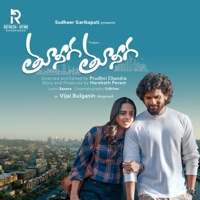 Tuneega Tuneega (feat. Gowtham Bharadwaj & SaNaRe) - Single - Vijai Bulganin