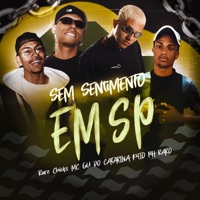 Sem Sentimento em Sp (feat. VITAL) - Single - PH RARO, K4IO, rare chicks & Mc Gu do Catarina