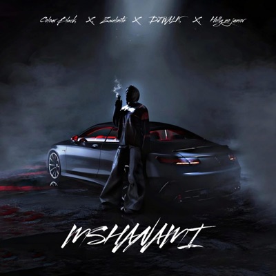 Mshanami (feat. Zwelinite, Dj Walk, Holly & Junior) - Single