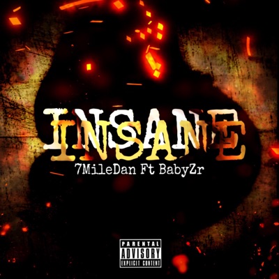 INSANE (feat. Babyzr) - Single