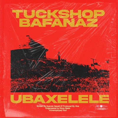 Ubaxelele - Single