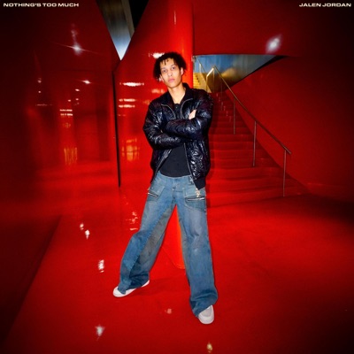 Nothing's Too Much - Single