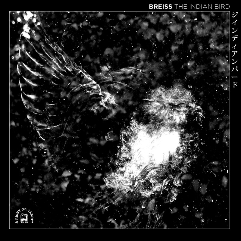 Misty Music Feat Lanote Remix Breiss Song Lyrics Music Videos