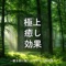Solfeggio Piano Super Deep Sleep (Forest) - Sleepy Nuts lyrics