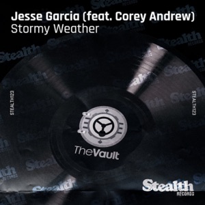 Stormy Weather (feat. Corey Andrew)