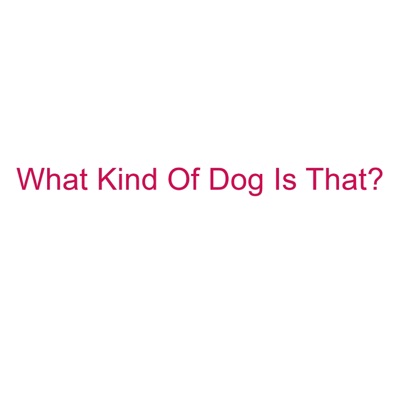 What Kind Of Dog Is That? - Single