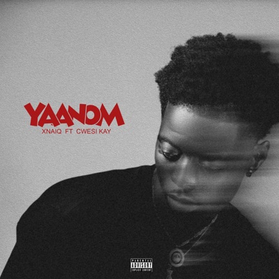 Yaanom (feat. Cwesi Kay) - Single