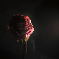 Si Entras Tú - Single - Rita Payés