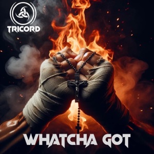 Whatcha Got - Single